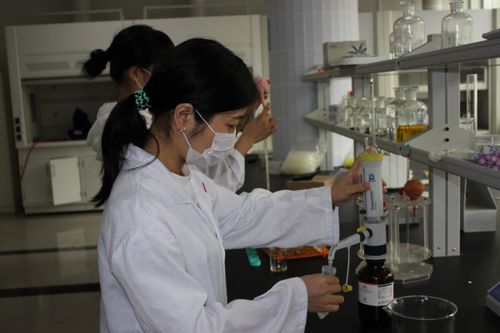 敘州區(qū)舉辦農(nóng)產(chǎn)品安全檢測技術(shù)培訓(xùn)，筑牢食品安全防線